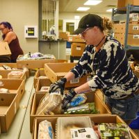 6635466cb1b12469336d1031_packingboxes
